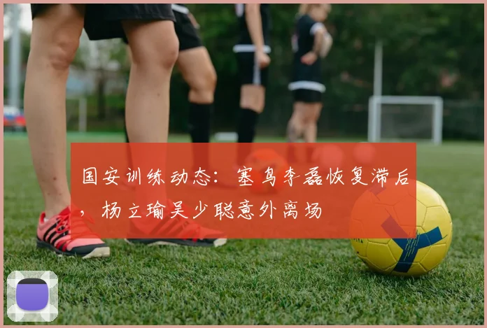 国安训练动态：塞鸟李磊恢复滞后，杨立瑜吴少聪意外离场