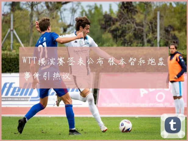 WTT横滨赛签表公布 张本智和炮轰事件引热议