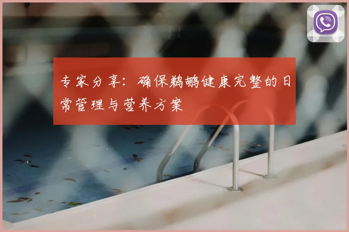 专家分享：确保鹈鹕健康完整的日常管理与营养方案