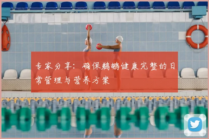 专家分享：确保鹈鹕健康完整的日常管理与营养方案